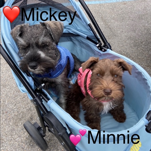 Meet your Posher, Alix - Picture 7 of 11